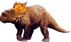 Pachyrhinosaurus.jpg