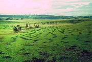 Paisaje de Cuesta en la Gran Sabana.jpg