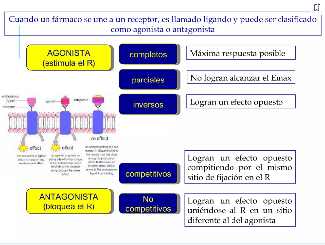 Agonistas Completos Ecured