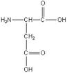 Ácidoaspártico.jpeg