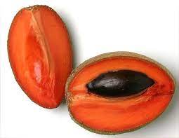 El Mamey Colorado.jpg