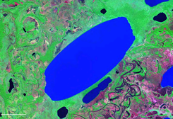 Lago Rogagua.png