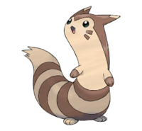 Furret.png