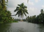 LagoAshtamudi2.jpg