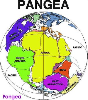 Pangea1.jpg