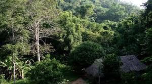 Santuario de Fauna y Flora Los Colorados.jpg