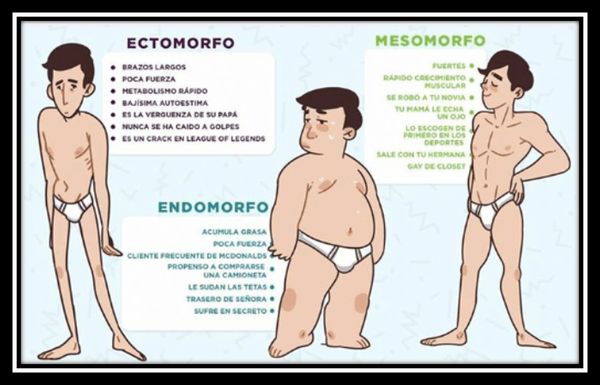 Tipos de cuerpos.jpg