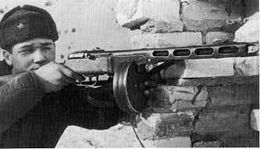 Principio de la ppsh.jpg