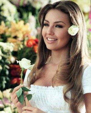 Thalia505-480x600.jpg