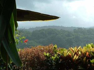 Parque nacional de Blue and John Crow Mountains.jpg.jpg