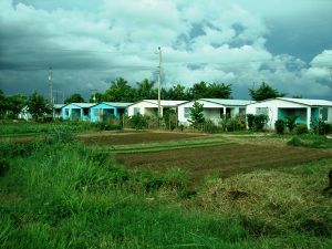 Localidad Los Quemados (Morón).JPG