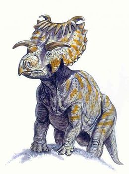 Kosmoceratops2.jpg