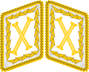 Luftwaffe collar tabs Reichsmarschall 3D.png