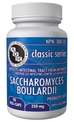 Saccharomyces boulardii.jpg