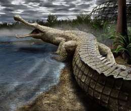 Sarcosuchus.jpg