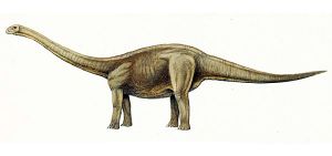 Dinosaurios-a-amygdalodon 0001.jpg