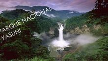 Parque-nacional-yasuni-1-638.jpg