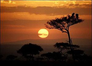 42479618 1 masai mara.jpg