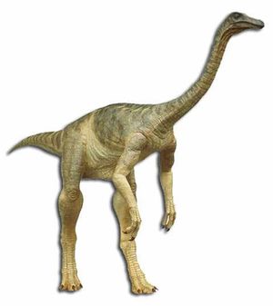 Gallimimus 03.jpg