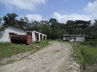 Demographics-of-Cuba | Revolvy Prostitutes Rio Guayabal de Yateras