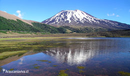 Reserva-nacional-las-nalcas.jpg