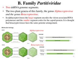 Ds-rna-plant-viruses-15-728.jpg