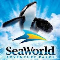 Acuarioseaworld.jpg