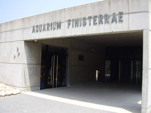 Aquarium Finisterrae.jpg