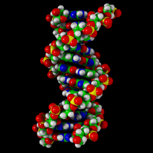 Genetica molecular 1.gif