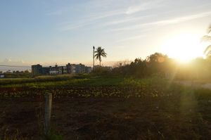 Playa-baracoa20141231 0005.jpg