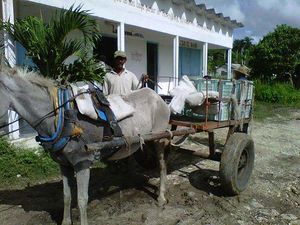 El baño e los brujos.jpg