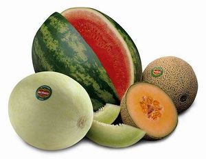 Melon castilla1.jpg