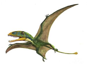 Dimorphodon.jpg