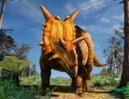 Xenoceratops.jpg