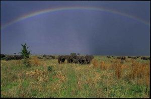 Parque Nacional de Tarangire.jpg